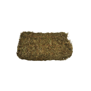 Clover Hay