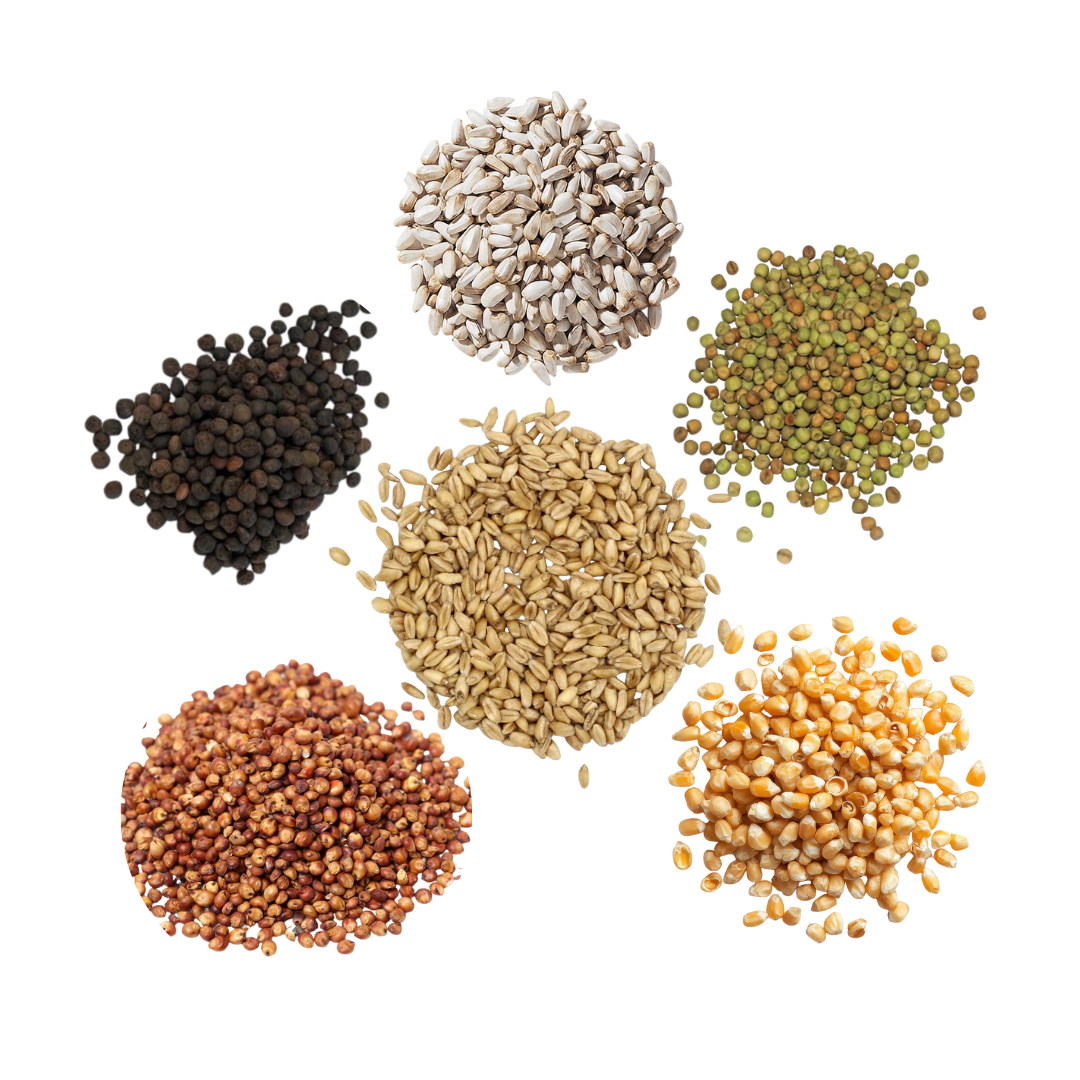 Elite Pigeon Mix - Image 2