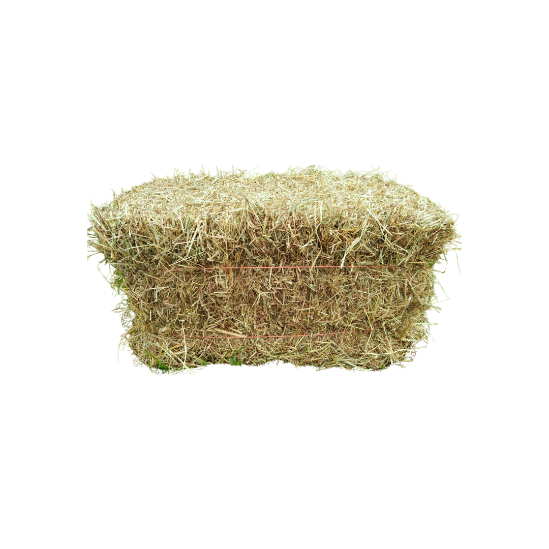 Grass Hay