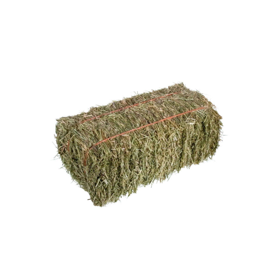 Rye Hay
