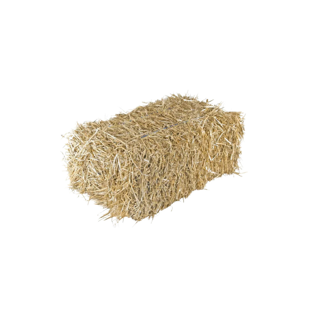Straw Hay